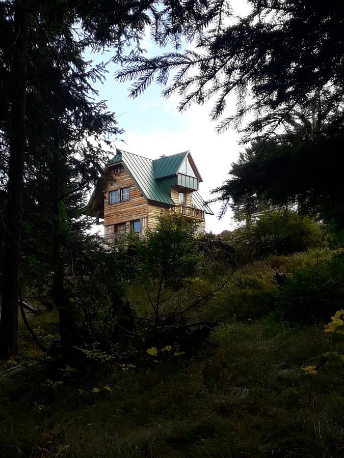 Mountain Story Apartment Zabljak  Ngoại thất bức ảnh