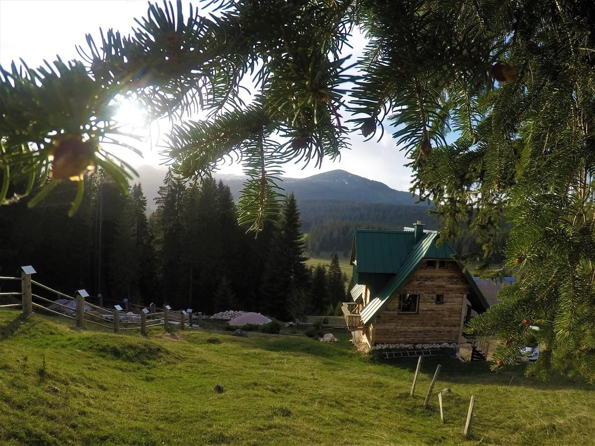 Mountain Story Apartment Zabljak  Ngoại thất bức ảnh
